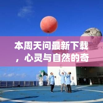 交货现场 第472页