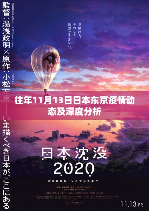 往年11月13日日本东京疫情动态及深度分析