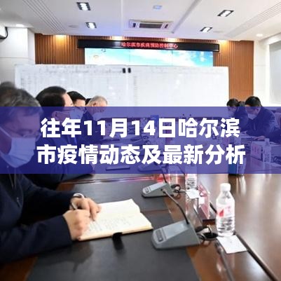 往年11月14日哈尔滨市疫情动态及最新分析
