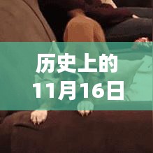 联系我们 第475页