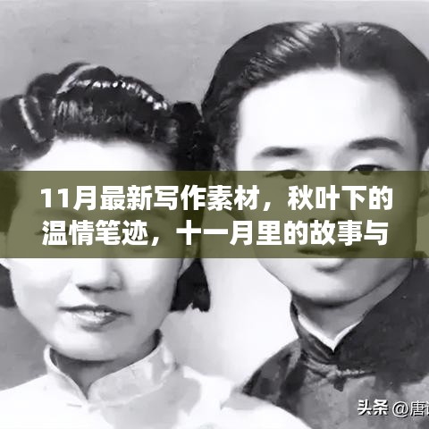 11月温情笔迹，秋叶下的故事与陪伴