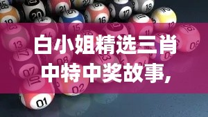shencaifeiyang 第21页