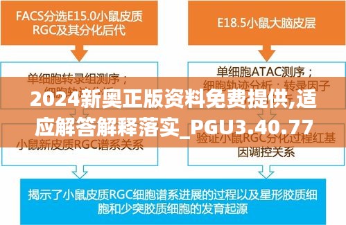 2024新奥正版资料免费提供,适应解答解释落实_PGU3.40.77程序版