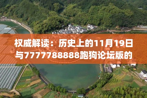 权威解读：历史上的11月19日与7777788888跑狗论坛版的分析措施_BBA1.56.78按需版