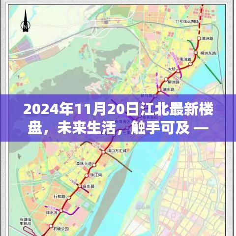 xingjirufei 第17页