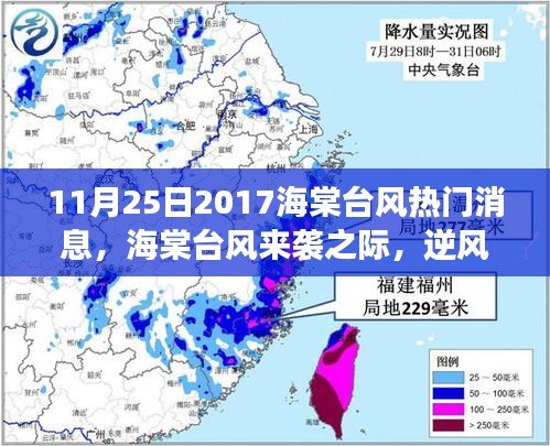 公司环境 第328页