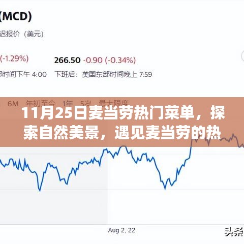 走马观花 第14页