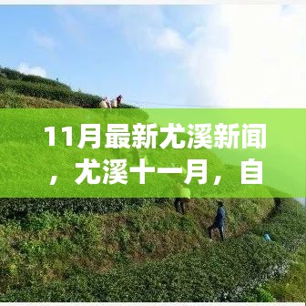 公司环境 第322页