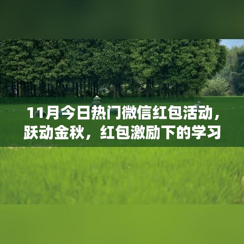 跃动金秋！微信红包活动助力学习与成长之旅