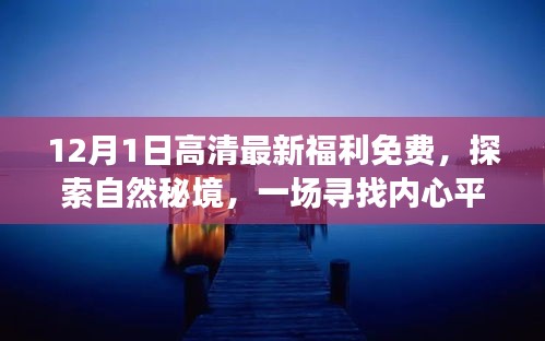 benniaoxianfei 第13页