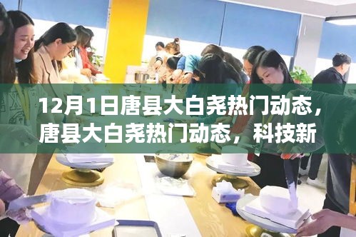 zhaoqianxiti 第14页