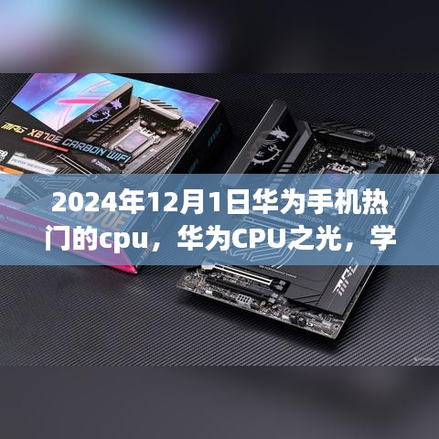 bufeizeyi 第13页