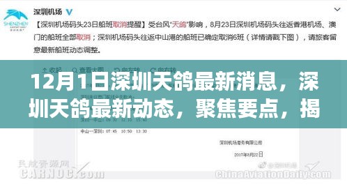 揭秘天鸽科技前沿进展，深圳天鸽最新动态与消息聚焦