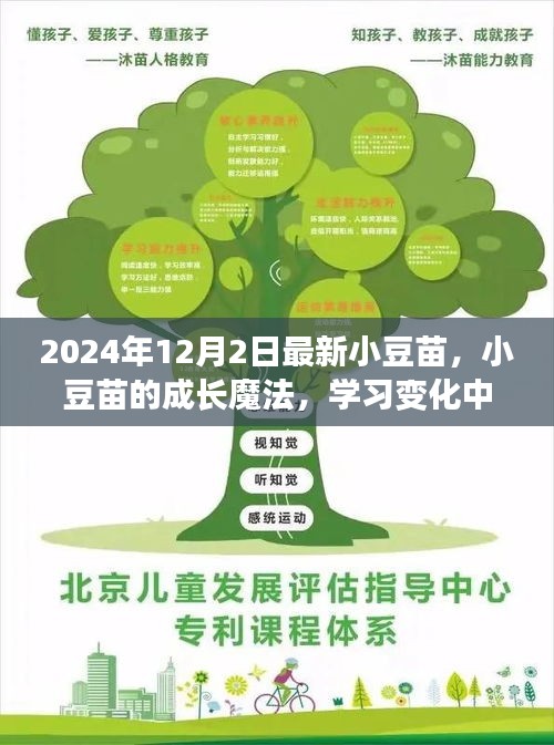 yizhibanxie 第12页