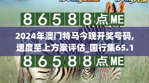 2024年澳门特马今晚开奖号码,速度至上方案评估_国行集65.194