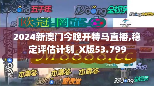 2024新澳门今晚开特马直播,稳定评估计划_X版53.799