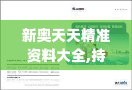 新奥天天精准资料大全,持久设计方案策略_豪华版59.219