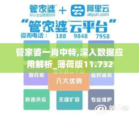 管家婆一肖中特,深入数据应用解析_薄荷版11.732