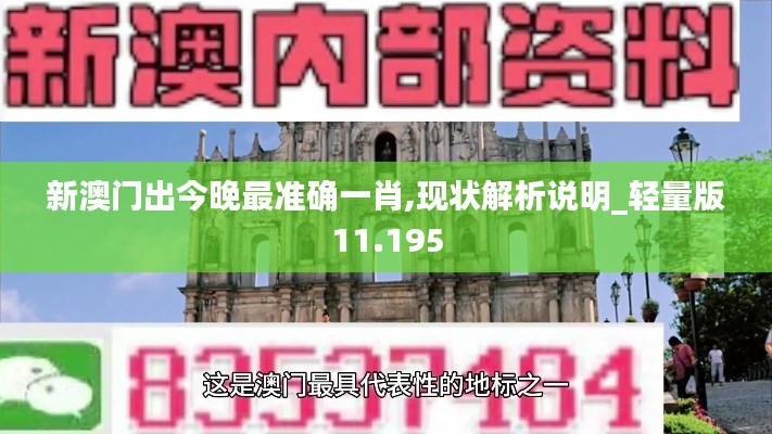 新澳门出今晚最准确一肖,现状解析说明_轻量版11.195