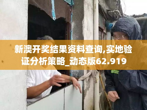 新澳开奖结果资料查询,实地验证分析策略_动态版62.919