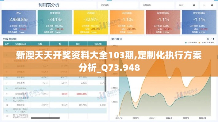 新澳天天开奖资料大全103期,定制化执行方案分析_Q73.948