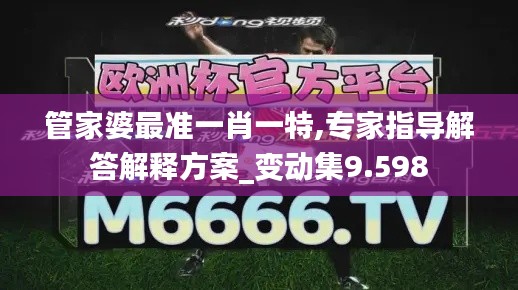 管家婆最准一肖一特,专家指导解答解释方案_变动集9.598