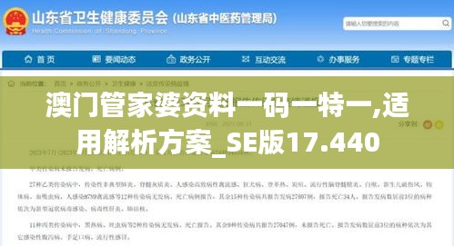 澳门管家婆资料一码一特一,适用解析方案_SE版17.440