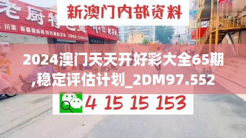 2024澳门天天开好彩大全65期,稳定评估计划_2DM97.552
