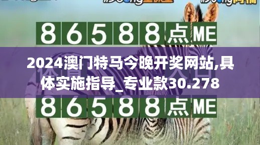 2024澳门特马今晚开奖网站,具体实施指导_专业款30.278