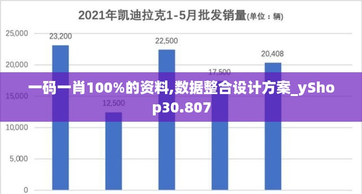 一码一肖100%的资料,数据整合设计方案_yShop30.807