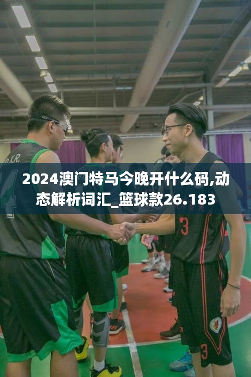 2024澳门特马今晚开什么码,动态解析词汇_篮球款26.183