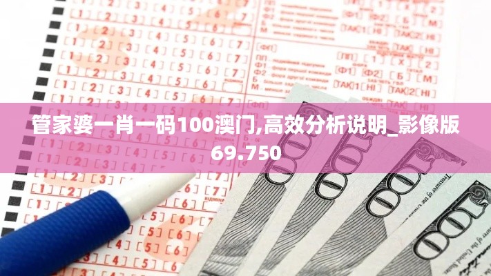 管家婆一肖一码100澳门,高效分析说明_影像版69.750