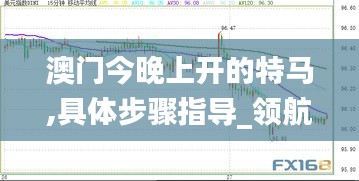 澳门今晚上开的特马,具体步骤指导_领航版79.98