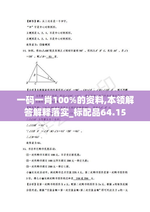 一码一肖100%的资料,本领解答解释落实_标配品64.15