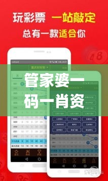 管家婆一码一肖资料大全一语中特,实地验证分析策略_4K版11.274