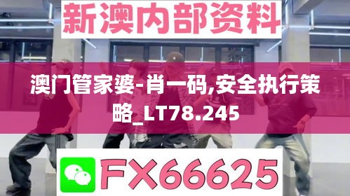 澳门管家婆-肖一码,安全执行策略_LT78.245