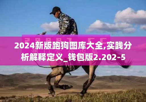 2024新版跑狗图库大全,实践分析解释定义_钱包版2.202-5