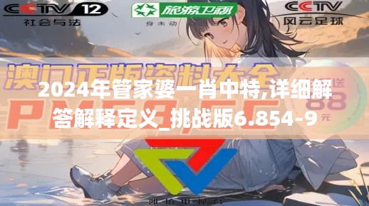 2024年管家婆一肖中特,详细解答解释定义_挑战版6.854-9