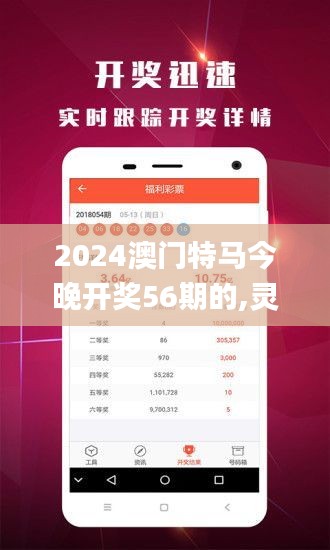 2024澳门特马今晚开奖56期的,灵活实施计划_L版9.279