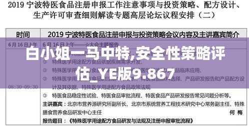 白小姐一马中特,安全性策略评估_YE版9.867