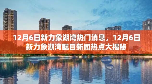 揭秘，12月6日新力象湖湾瞩目新闻热点与热门消息全解析