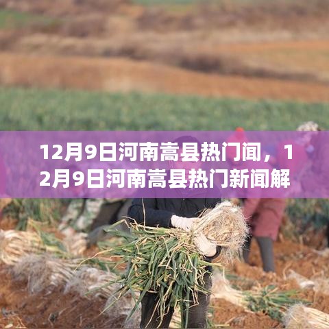 河南嵩县热门新闻解读与参与指南，12月9日最新资讯