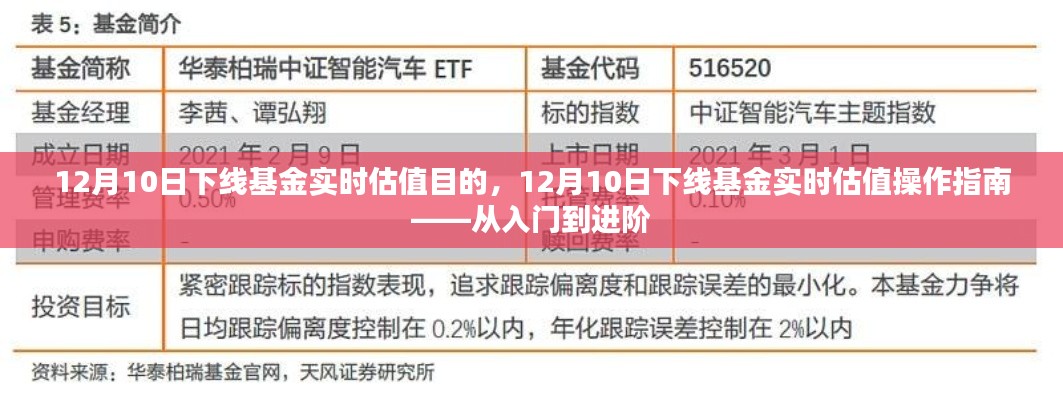 12月10日下线基金实时估值详解，目的与操作指南——从新手到专家