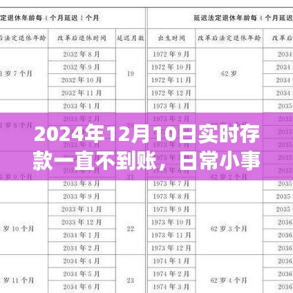 延迟到账的温馨故事，日常小事引发情感牵绊