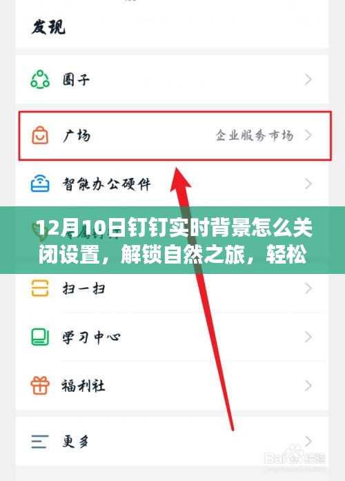 解锁钉钉背景设置，启程寻找宁静之地，如何关闭设置实时背景