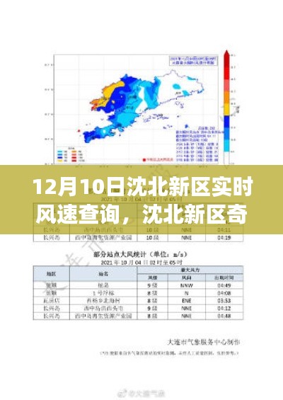 huanghuangzhangzhang 第4页