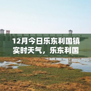 乐东利国镇12月实时天气查询指南，今日天气及步骤详解