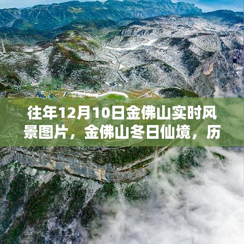 金佛山冬日仙境，历年12月10日实时风景图片分享与欣赏