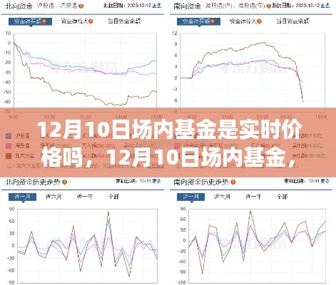 12月10日场内基金实时价格之旅，一场心灵的对话与自然的拥抱体验。