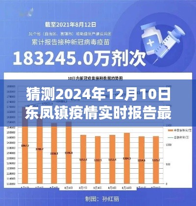 2024年东凤镇疫情实时报告最新猜测指南，针对初学者与进阶用户的权威参考